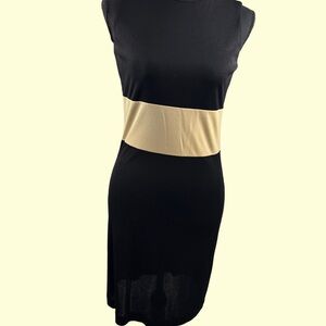 Banana Republic Black and Tan Asymmetrical Sheath Dress